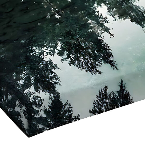 Πίνακας σε καμβά Siely pakoworld με ψηφιακή εκτύπωση 40x3x60εκ.  071-001567